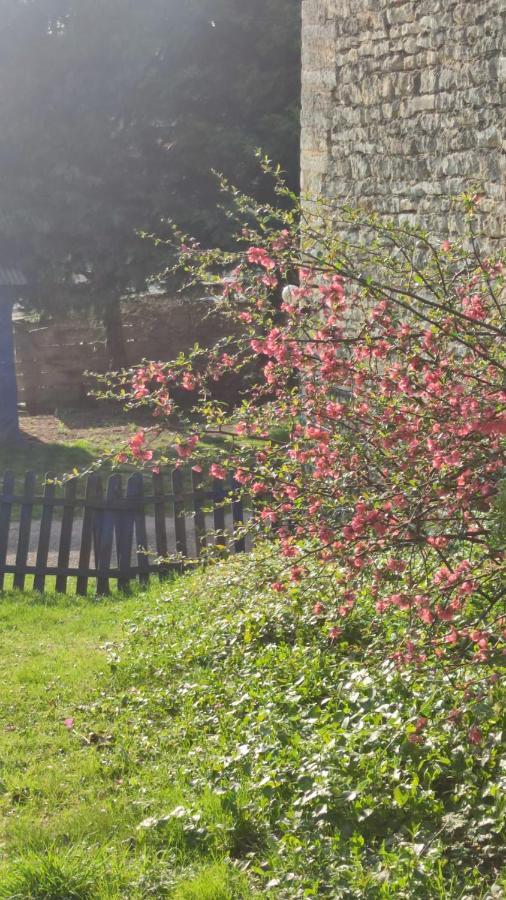 La Maison Bleue Varzy Zewnętrze zdjęcie